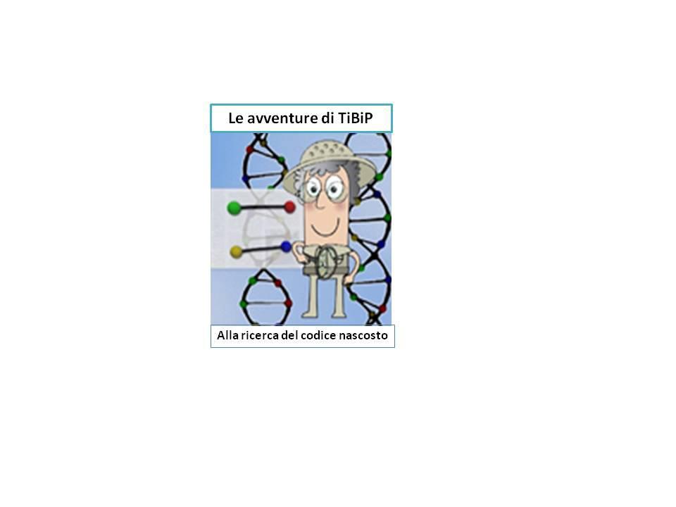 TiBiP-immagine1